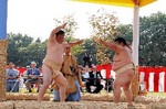 再現された角土俵では、盛岡藩政当時の様式で相撲の取組が行われた